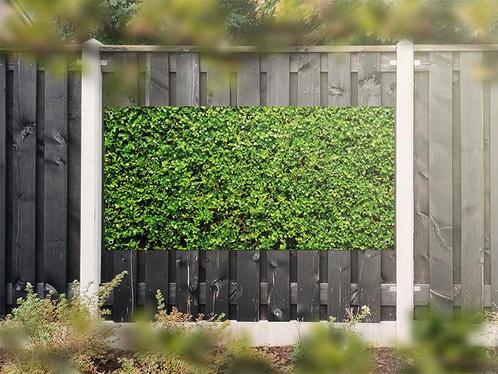 NR 1204: Tuinposter Hedera 90x180cm, Tuin en Terras, Tuinwanddecoratie, Nieuw