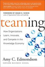 Teaming 9780787970932 Amy C Edmondson, Boeken, Verzenden, Gelezen, Amy C Edmondson