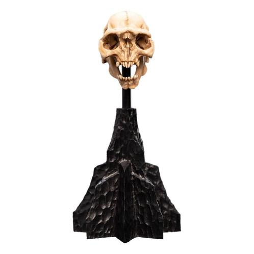 Lord of the Rings Mini Statue Skull of a Moria Orc 13 cm, Verzamelen, Lord of the Rings, Nieuw, Ophalen of Verzenden