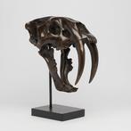 Replica Sabeltandkat Schedel - (Smilodon) - 38 cm - 18 cm -, Verzamelen, Dierenverzamelingen, Nieuw