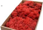 Rendiermos IJslandsmos Finlandsmos Rood 500 gram, Ophalen of Verzenden, Nieuw