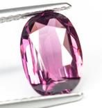 Zonder Minimumprijs Spinel - 2.04 ct - Antwerp Laboratory, Nieuw