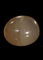 Sasanian Witte Agaat Stempelzegel met gegraveerde viervoeter, Antiek en Kunst