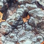 Gevlekte EMATIET MET STRALEND MAMMELLAR, Marokko Kristallen, Verzamelen, Mineralen en Fossielen