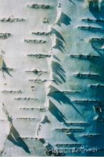 Mario De Biasi (1923-2013) - Unknown title, c.1980