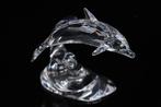 Figuur - Swarovski - Dolfijn op Golf (Boxed + Certificate) -