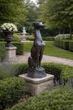 Beeld, XL Bronze Greyhound Dog - 89.5 cm - Brons - 2025
