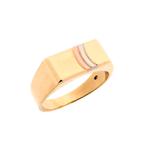 Gouden zegelring met tricolor strepen | Heren (vintage), Sieraden, Tassen en Uiterlijk, Ringen, Gebruikt, Overige kleuren, 19 tot 20