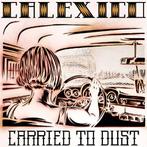 cd digi - Calexico - Carried To Dust, Verzenden, Zo goed als nieuw
