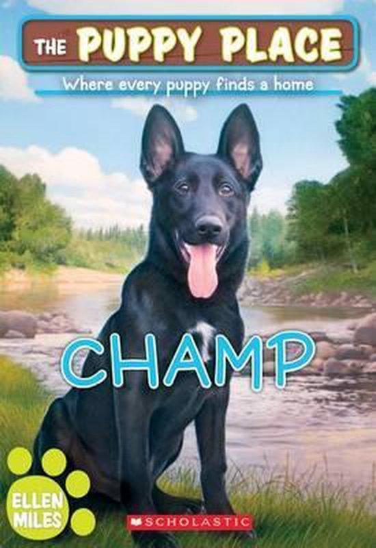 Champ 9780545857277 Wiley Blevins, Boeken, Taal | Engels, Gelezen, Verzenden