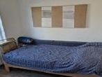 Kamer Oeverstraat in Tilburg, Overige soorten, Noord-Brabant