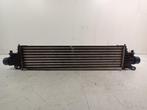 Intercooler radiateur No No   8C1751000, Auto-onderdelen, Motor en Toebehoren, Ophalen of Verzenden, Gebruikt, Opel