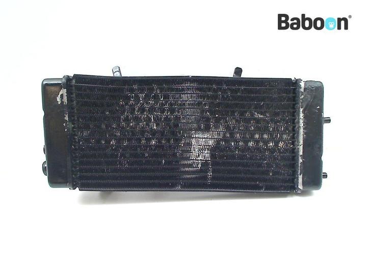 Radiateur Honda VT 600 Shadow 1999-2005 (VT600 VLX), Motoren, Onderdelen | Honda, Gebruikt, Verzenden