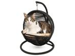 Veiling - Bella Home - Kattenmand Zwart met creme kussen, Dieren en Toebehoren, Nieuw