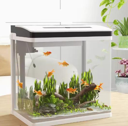 Aquarium starterkit – Compact glas aquarium met verlichting, Dieren en Toebehoren, Vissen | Aquaria en Toebehoren, Nieuw, Verzenden