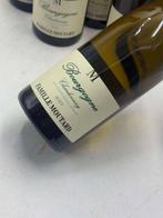 2023 Bourgogne Chardonnay - Domaine Moutard - Bourgogne - 6, Verzamelen, Wijnen, Nieuw