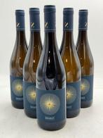 2023 Domaine Denizot - Pouilly Fumé - 6 Fles (0,75 liter), Verzamelen, Nieuw