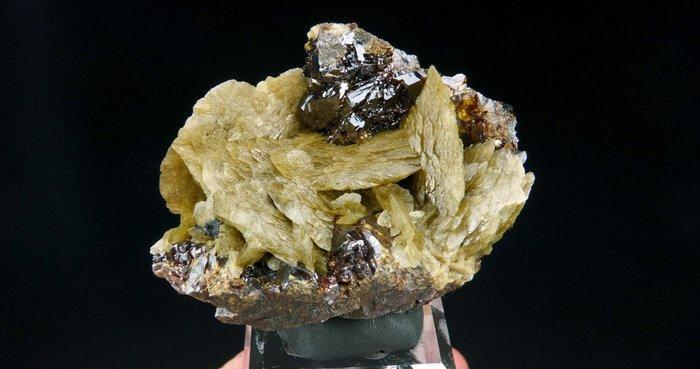 Sphalerite (translucent) op Siderite - La Mure, Isère, Alps,, Verzamelen, Mineralen en Fossielen