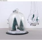 Dennenboompjes besneeuwd succulent gesorteerd 9+12 cm 4, Hobby en Vrije tijd, Knutselen, Ophalen of Verzenden, Nieuw