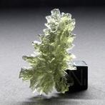 egel Moldavite - 3.76 g, Verzamelen
