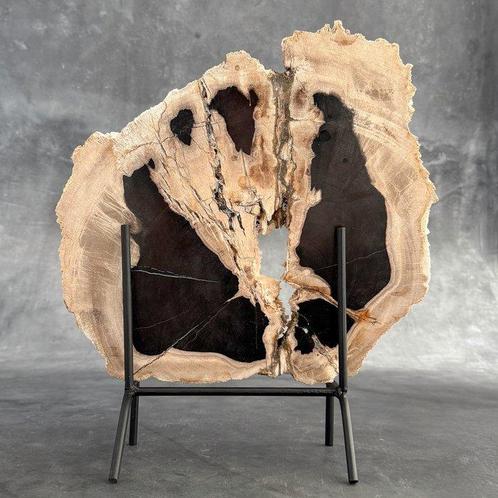 Prachtige grote plak versteend hout op een aangepaste, Antiek en Kunst, Kunst | Designobjecten