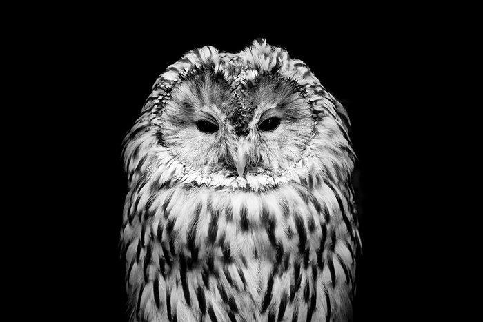 Marco Simoni - 130 cm, Antiek en Kunst, Kunst | Designobjecten