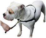 Anti trektuig voor honden merk maZter (Zterk, tuig hond), Verzenden, Nieuw, Hondenriem