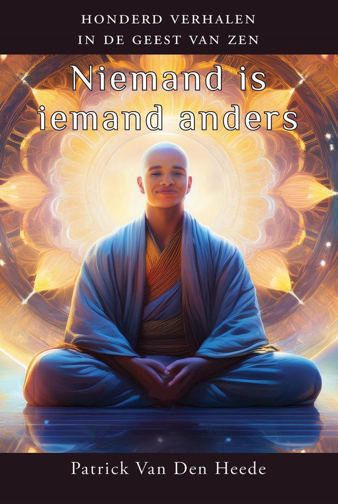 Niemand is iemand anders 9789463310543 Patrick Van Den Heede, Boeken, Esoterie en Spiritualiteit, Zo goed als nieuw, Verzenden