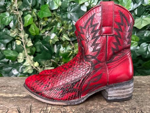 Nieuwe python laarsjes van Sendra maat 38, Kleding | Dames, Schoenen, Rood, Nieuw, Lage of Enkellaarzen, Ophalen of Verzenden