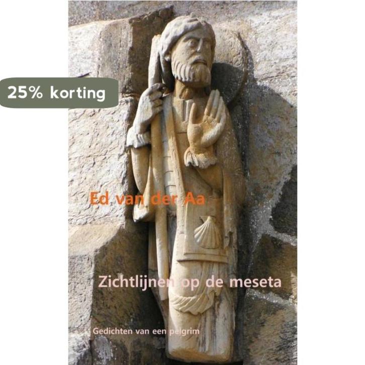 Zichtlijnen op de meseta 9789402171648 Ed van der Aa, Boeken, Gedichten en Poëzie, Gelezen, Verzenden