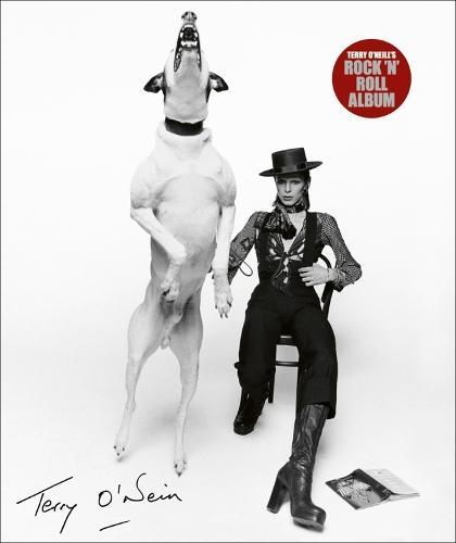 Terry ONeills Rock n Roll Album, Boeken, Studieboeken en Cursussen, Verzenden