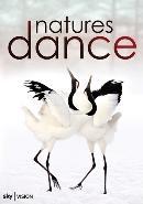 Natures dance - DVD, Verzenden, Nieuw in verpakking