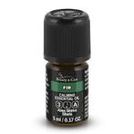 Beauty & Care Spar etherische olie 20 ml.  new, Ophalen of Verzenden, Nieuw, Aroma