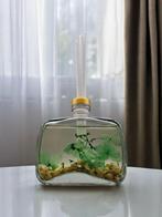 Huisparfum met geurstokjes - 5 geuren, Huis en Inrichting, Woonaccessoires | Droogbloemen, Verzenden, Nieuw