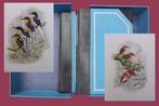 Joseph M. Forshaw/William T. Cooper - Kingfishers and