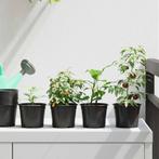 vidaXL Bloempot 50 pcs Zwart Ø 15 x 12.5 cm Kunststof, Tuin en Terras, Kunststof, Minder dan 30 cm, Verzenden, Minder dan 60 cm