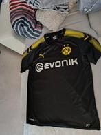 Borrusia Dortmund - Duitse voetbal competitie - 2017 -, Nieuw