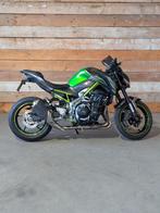 Motor, Kawasaki, Z900, 2018