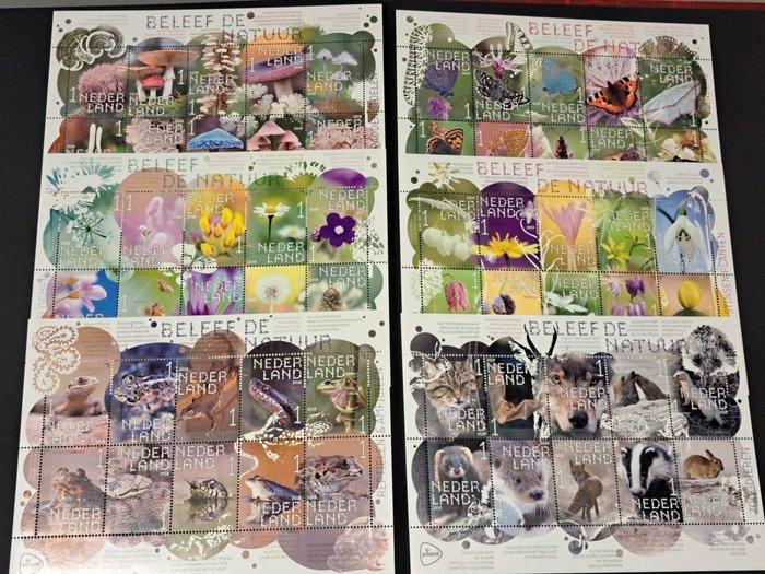 Nederland 2018/2019 - 6 verschillende uitgiftes 2018/2019, Postzegels en Munten, Postzegels | Nederland