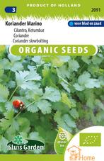 Koriander Marino Cilantro Ketumbar Zaden: Kweek Heerlijke,, Tuin en Terras, Verzenden