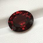 Zonder Minimumprijs Rood Granaat - 5.70 ct - International, Nieuw