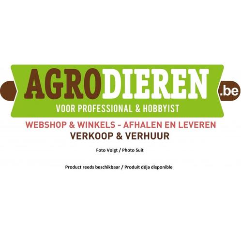 Dakpaneel gaas - 145 x 200 - 46x46x4, Dieren en Toebehoren, Vogels | Toebehoren, Ophalen of Verzenden