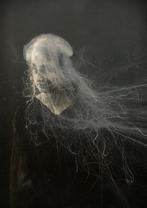 Frédérique Longrée - MEDUSA