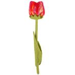 Vilten Tulp Rood met Paars op Groene Steel - 32 cm NIEUW, Ophalen of Verzenden, Nieuw