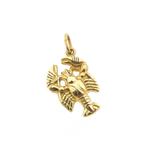 Gouden sterrenbeeld hanger; Kreeft (geelgoud, astrologie), Ophalen of Verzenden, Gebruikt, Goud, Overige merken
