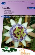 Passion Blue Zaden, Exotische Passiebloem met Levendige, Verzenden