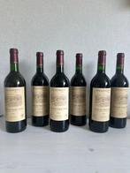 1995 Plaimont Selection - Côtes de Saint-Mont - 6 Flessen, Nieuw