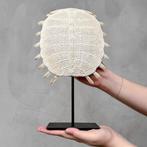 Geen reserveprijs - Indrukwekkende Chinese zachte