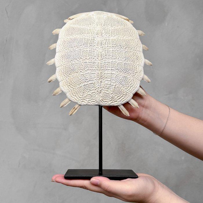 Geen reserveprijs - Indrukwekkende Chinese zachte, Antiek en Kunst, Kunst | Designobjecten