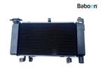 Radiateur Honda NX 500 2024-, Gebruikt